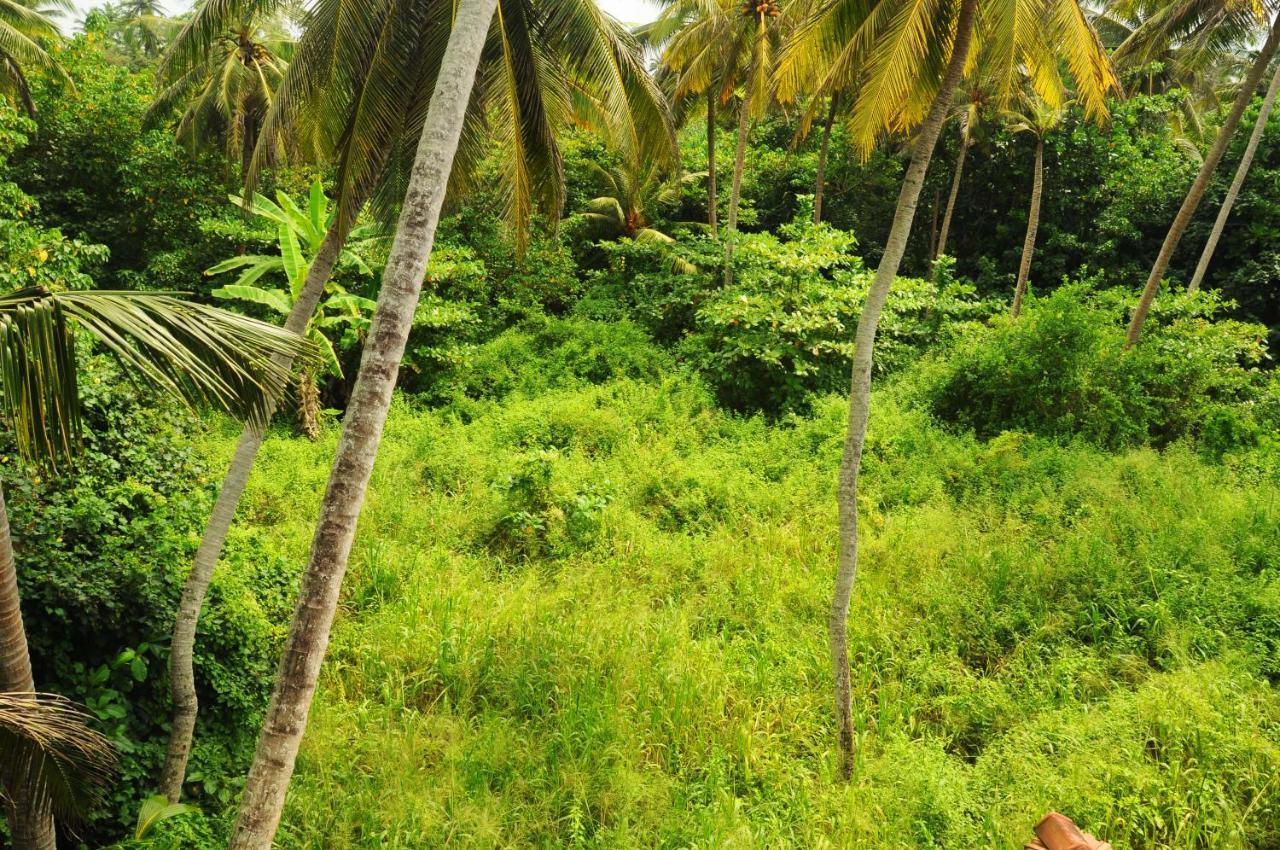 Deutsch Lanka Hotel Telwatta Eksteriør bilde